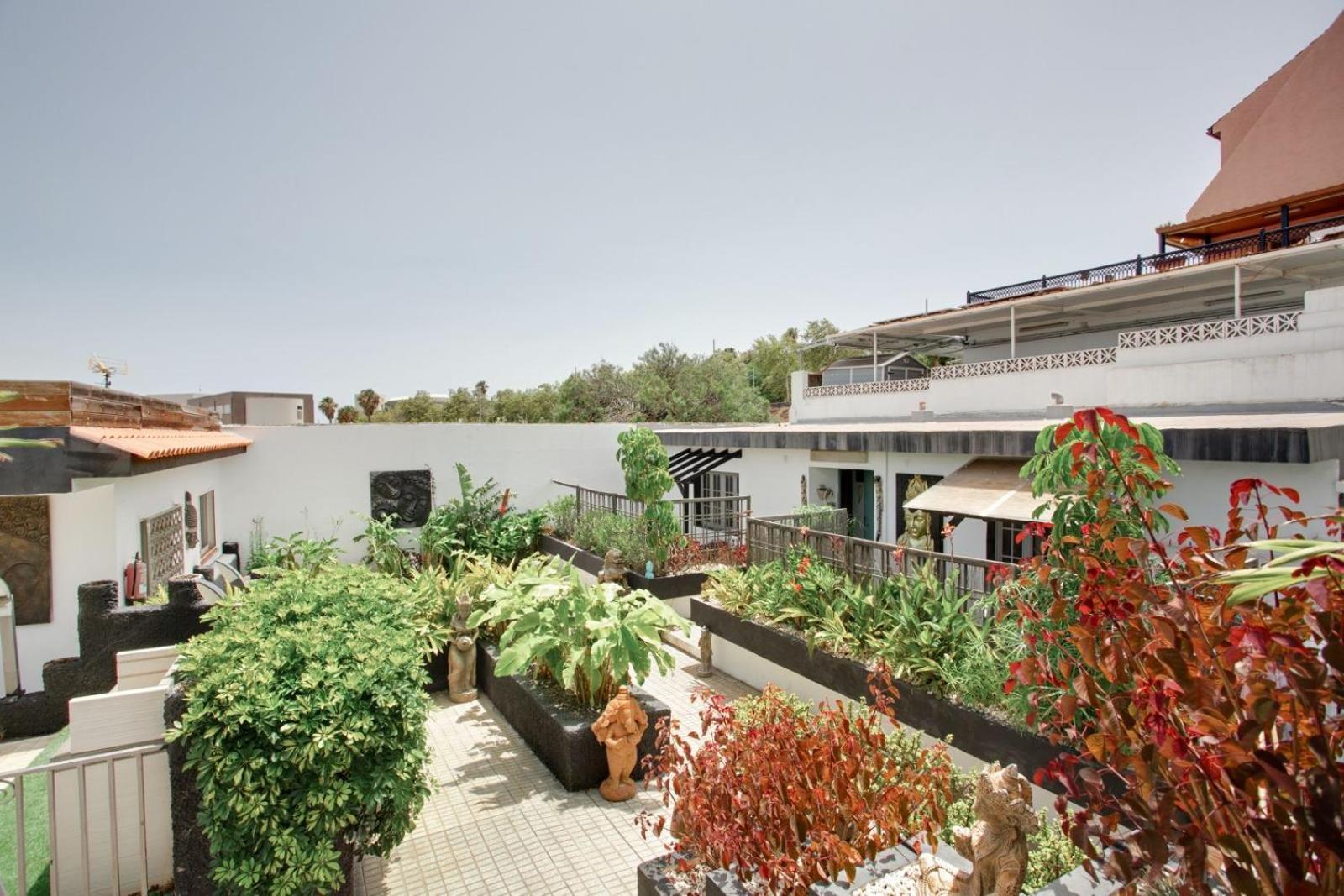 Apartamento Acogedor En La Laguna サン・クリストバル・デ・ラ・ラグーナ エクステリア 写真